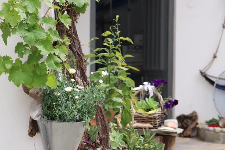 Athina Studios Chorto Exterior photo
